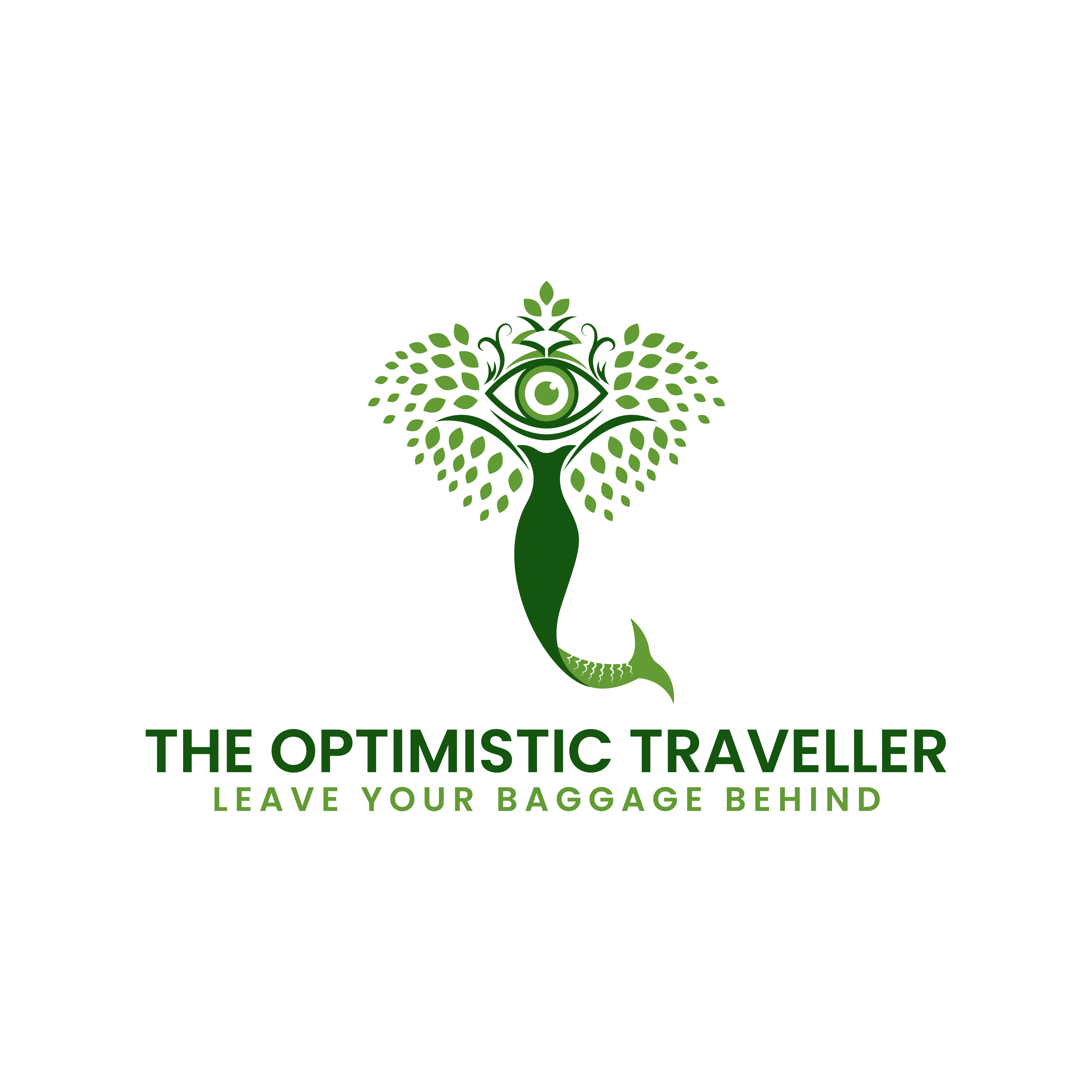 The Optimistic Traveller