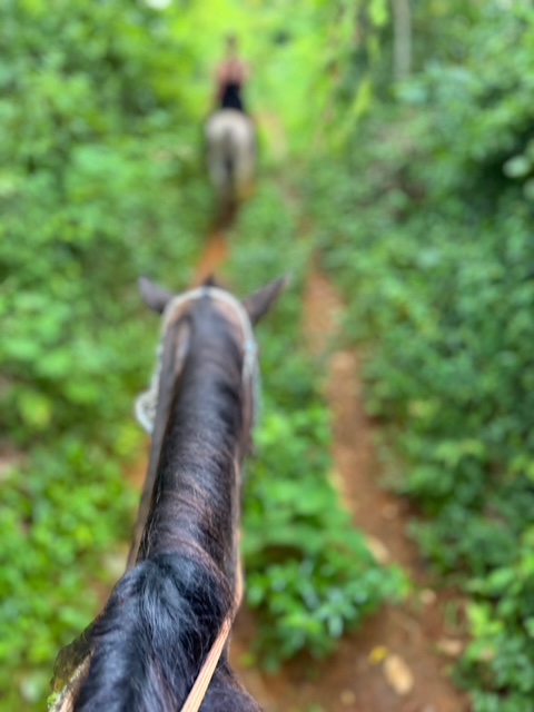 I Have a Cuban S&nbsp;car